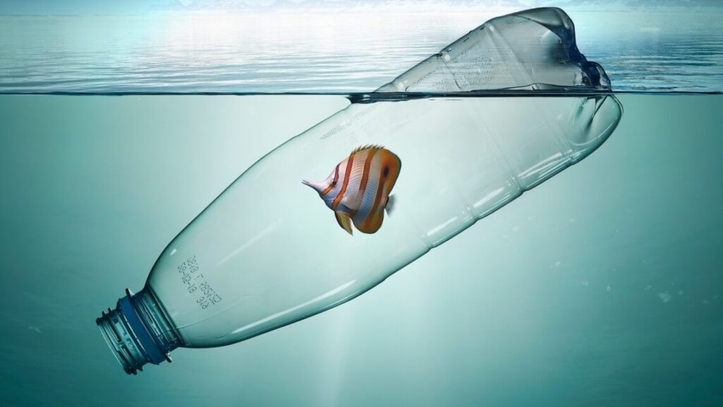 bottle in ocean pollution
